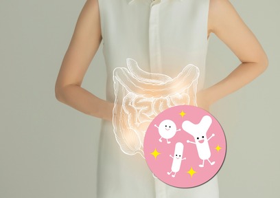 機能性表示食品になっている乳酸菌の種類