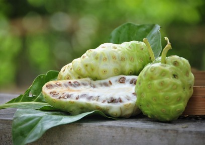 乾燥対策で悩む大人肌をノニが救う！ノニを使ったコスメ4選