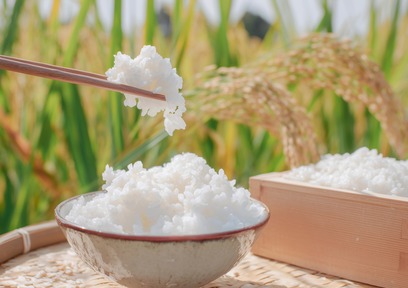 世界に広がる和食と農産物