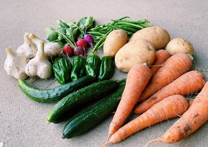 現役ファーマーが教える！皮のまま食べた方がいい野菜おすすめ５選