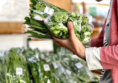 知っておくと買い物が変わる!?雨・台風・気温差と野菜の関係