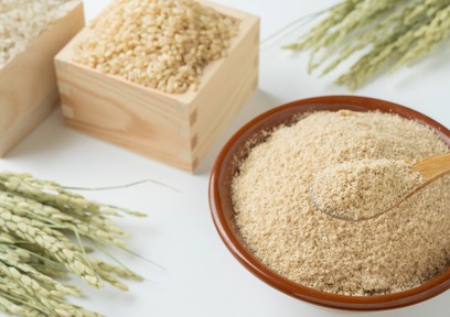 腸内細菌と肥満は関係あり？！肥満を抑制するポリフェノール由来の成分「HMPA」が生成され、腸内で機能するメカニズムとは